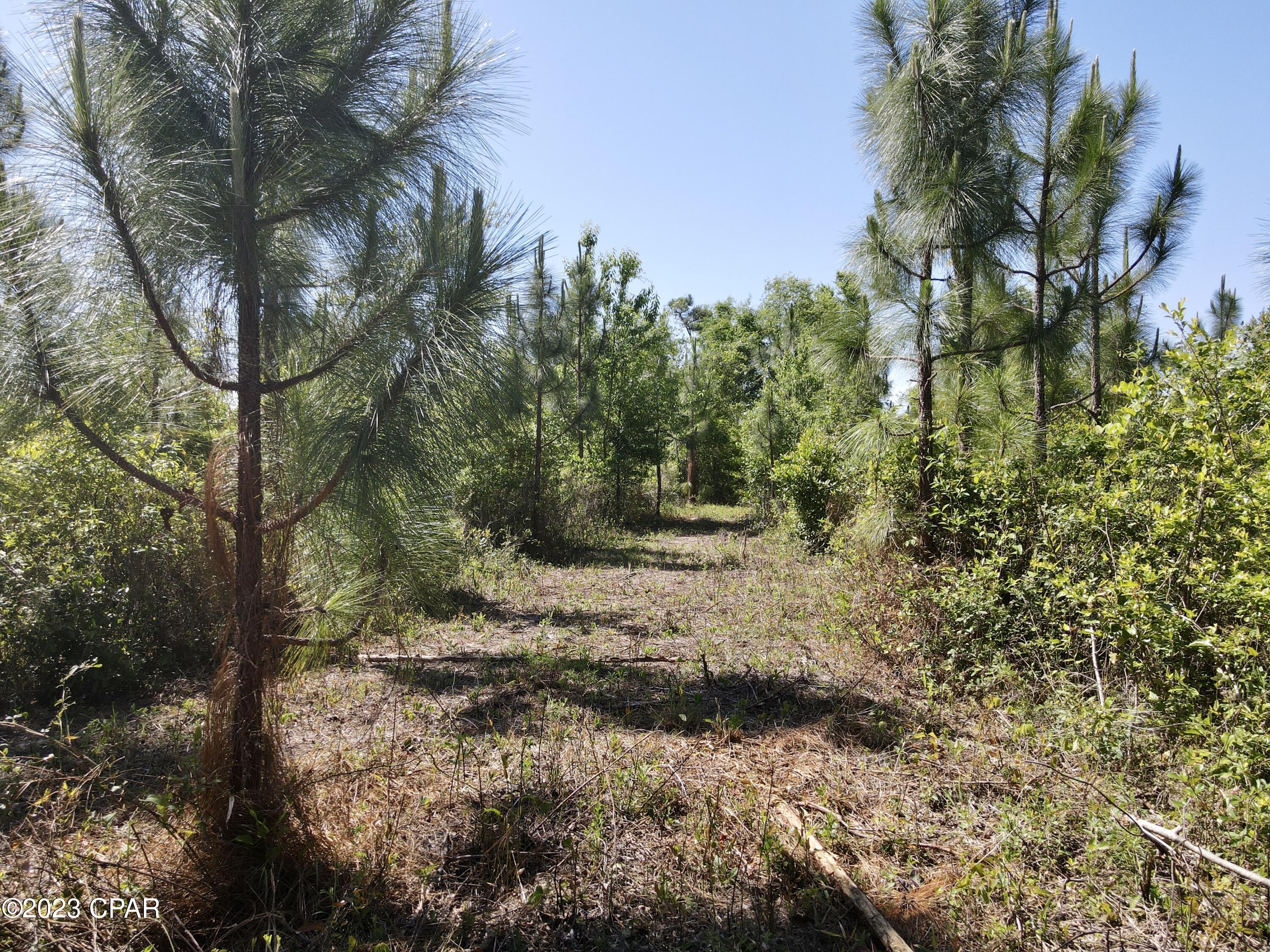 No Named Subdivision - Land