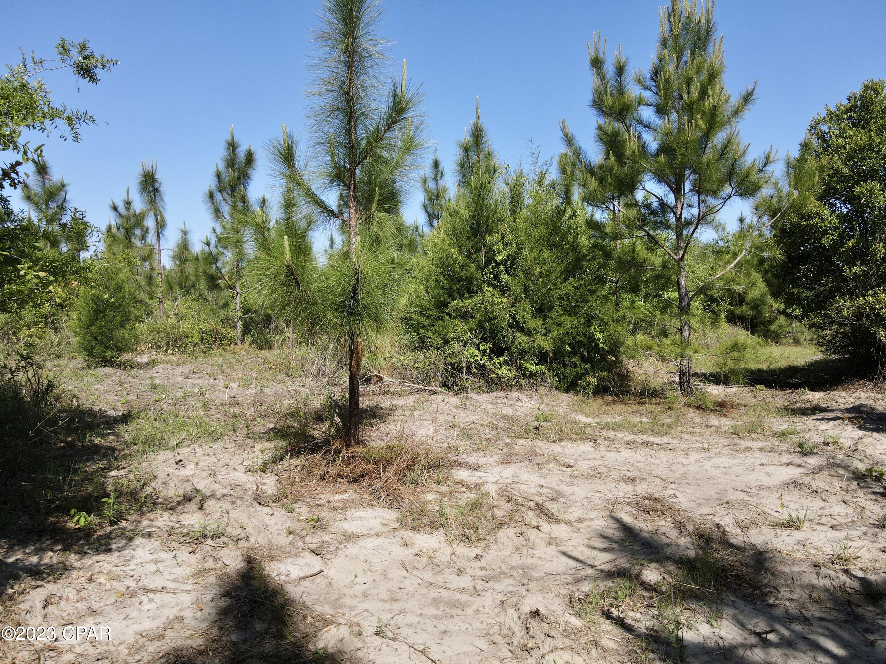 No Named Subdivision - Land