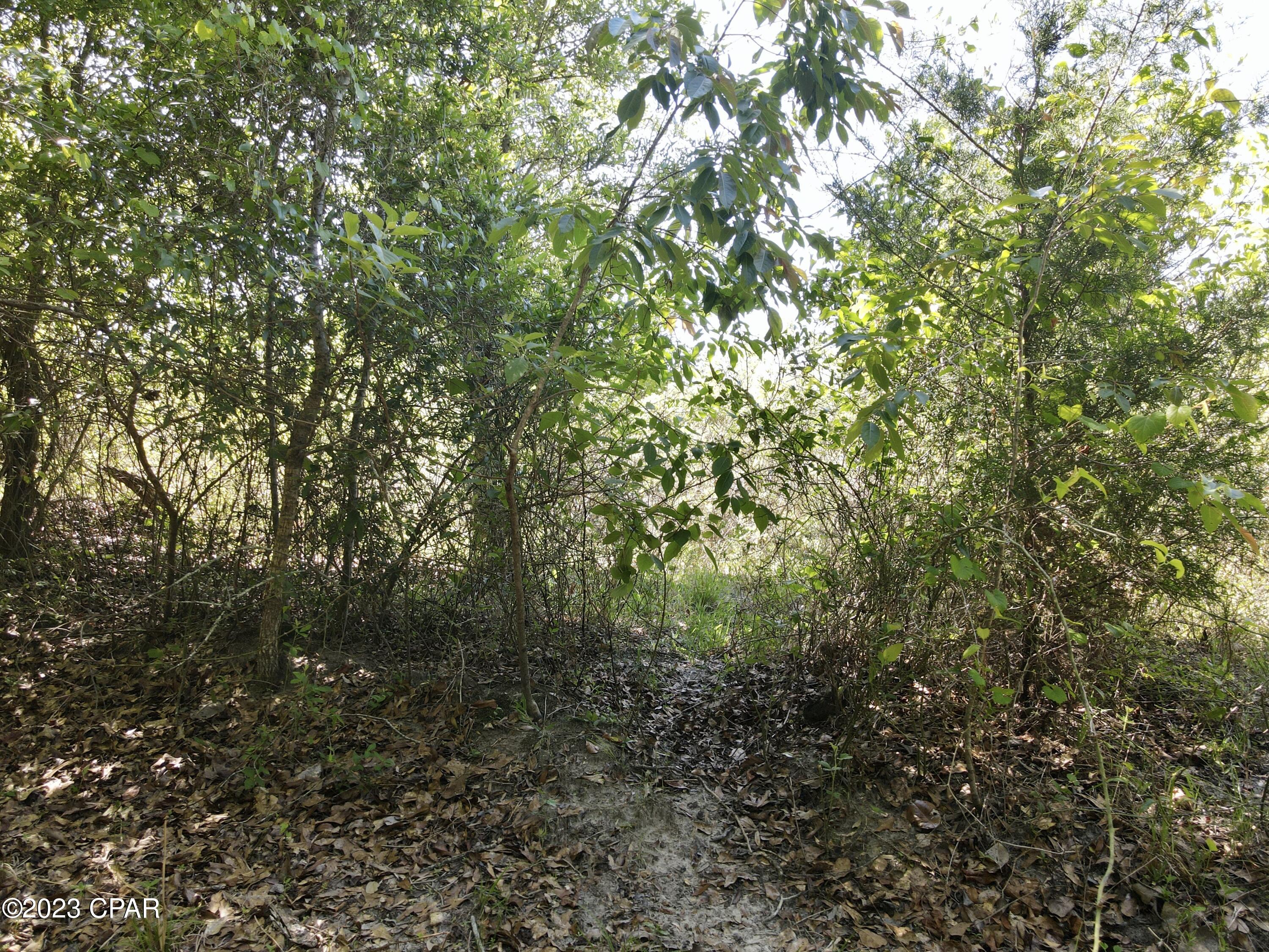 No Named Subdivision - Land