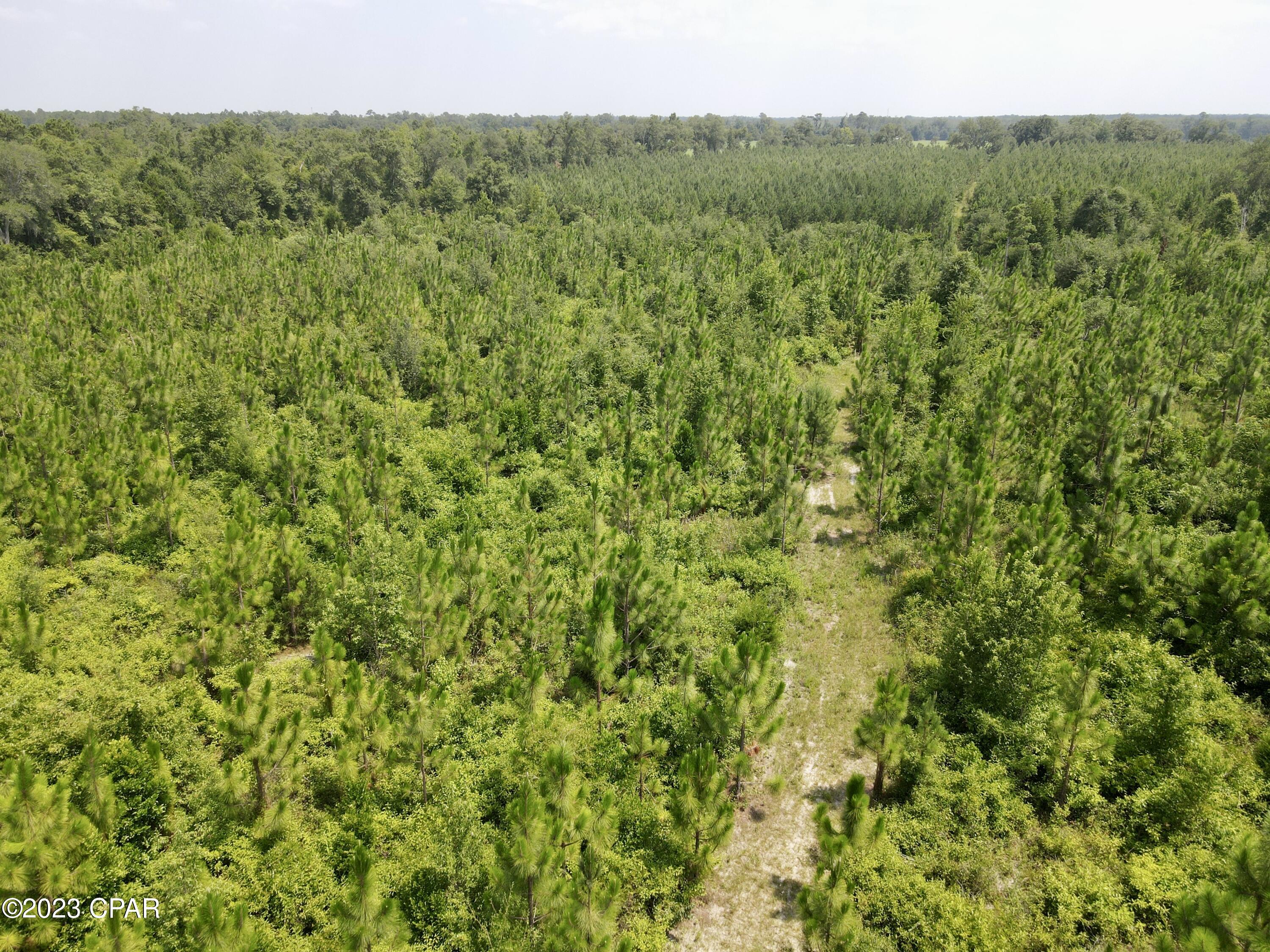 No Named Subdivision - Land