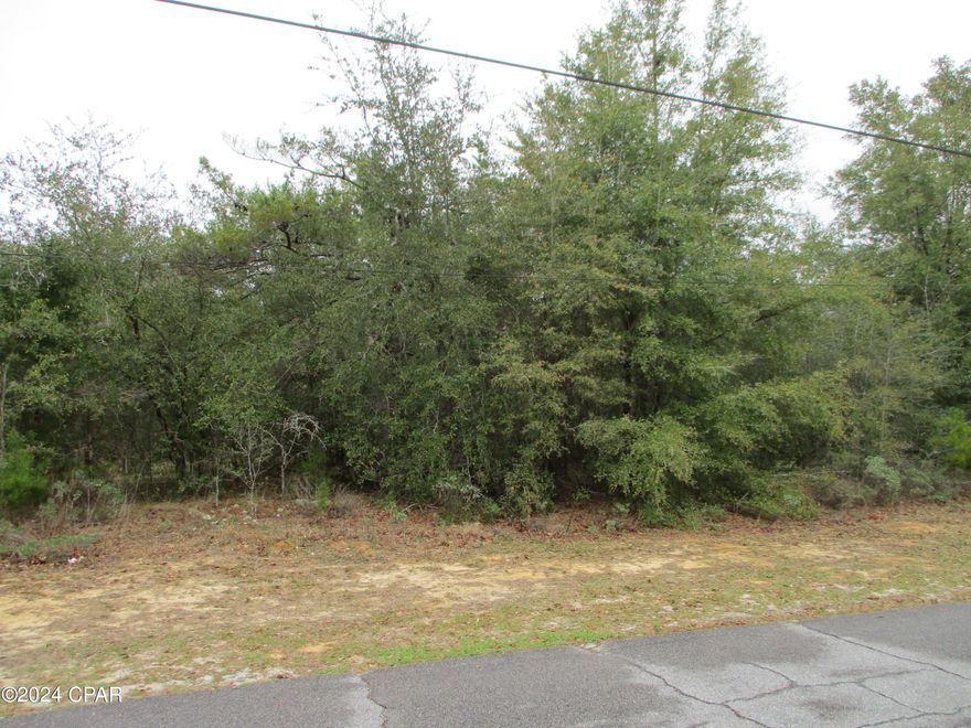 Check out this fantastic building lot with lake views of Boat Lake in the growing subdivision of Sunny Hills. Residents enjoy an 18 hole Golf Course and Club, many recreational lakes, wildlife areas, a seasonal swim park, and more! Located not far from nearby cities such as Chipley or Lynn Haven, and only about 45 minutes from the world's most beautiful beaches of the Gulf Coast! The sellers are offering 2 adjacent lots for sale. Please see MLS# 753563, Lot 24 Linwood Drive for more details.