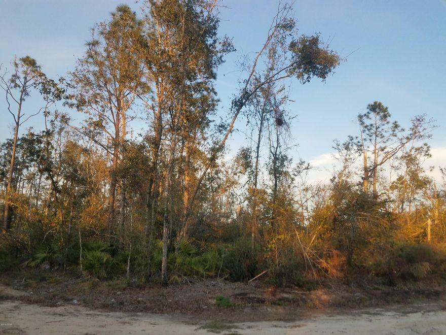 **No deed restrictions*  Great wooded lot priced to sell.