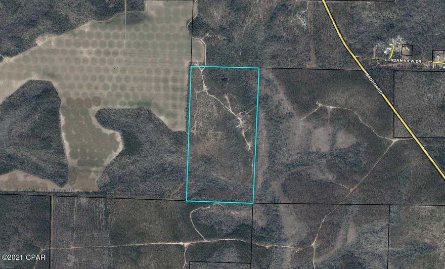 80 Acres of Timberland just south of Marianna off of HWY 73. Land is under a current lease for hunting until 3-15-2022. There is a structure on the property but is not livable and was damaged in Hurricane Michael in 2018. Value is in land. Well and septic are on property.



All lot dimensions are approximate and from Jackson County Property Appraiser website.