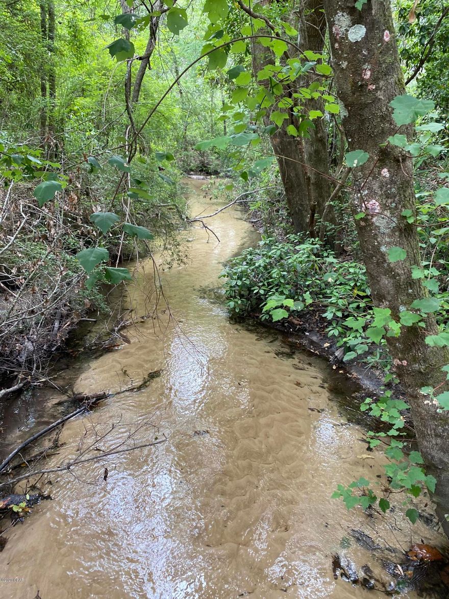 120 acres of land in Washington County.  This large piece of property is just outside of Sunny Hills Subdivision.  The property is secluded but also just down the street from Sunny Hills Golf Course and the Dollar General. Its only about a 30 minute drive to Lynn Haven or Chipley and only 45 minutes to The Worlds Most Beautiful Beaches.  It has a nice flowing stream that runs through it with a crossing bridge.  It's a great place to ride four wheelers, hunt, camp or go shoot. This property would make a beautiful secluded homestead or a weekend getaway.