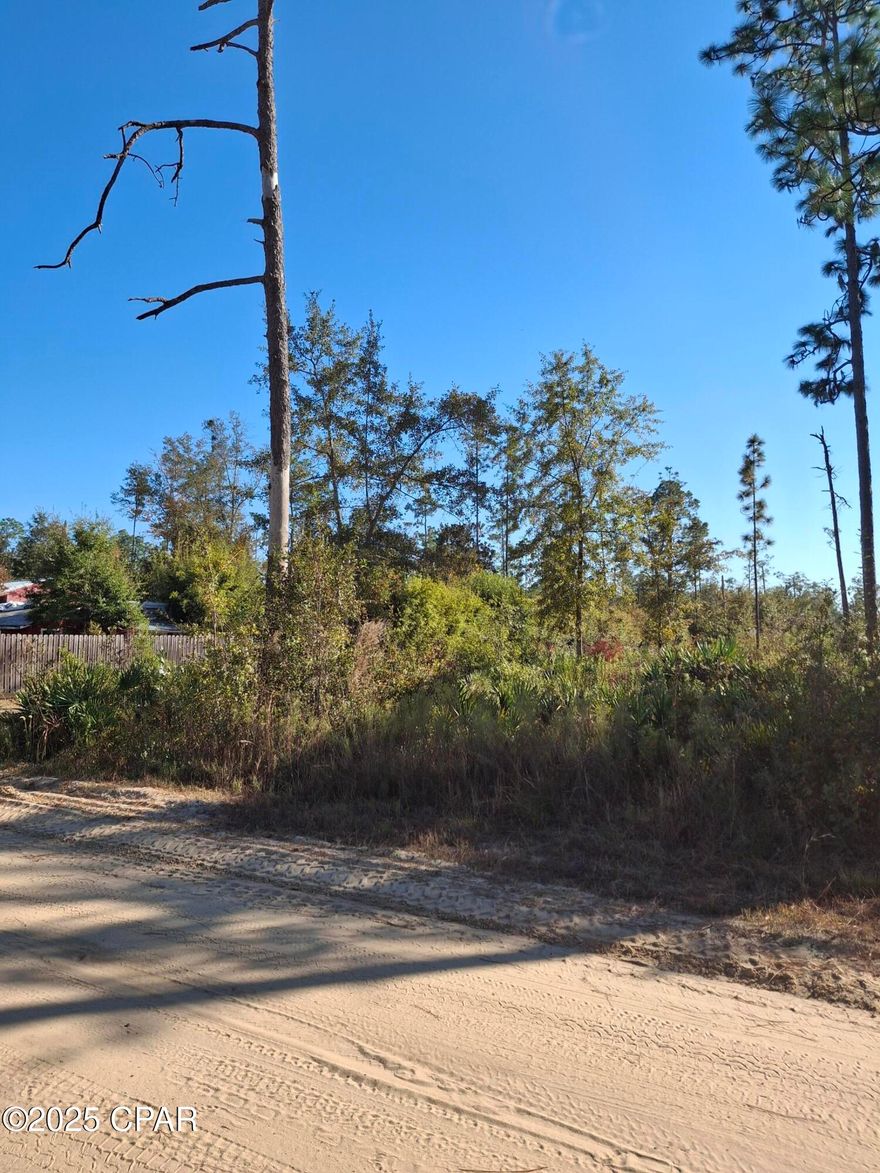 Very nice corner lot.  Ferndale is 2 lots.  
Convenient to Tyndall, Hwy 20, Econfina Creek and downtown Panama City.
