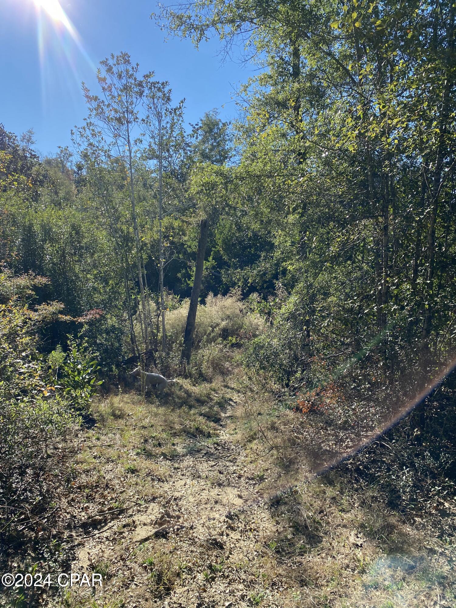 [No Recorded Subdiv] - Land