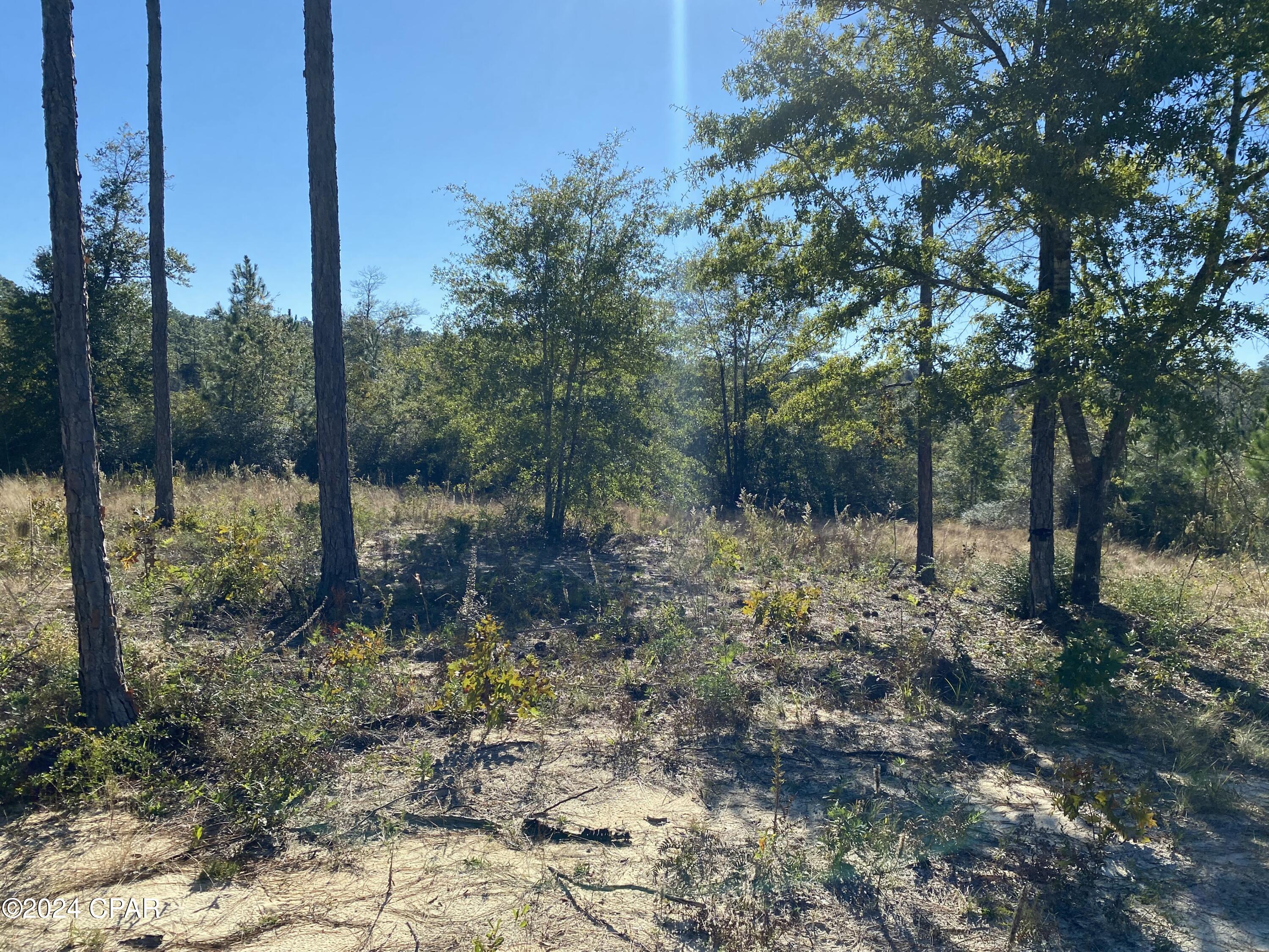 [No Recorded Subdiv] - Land