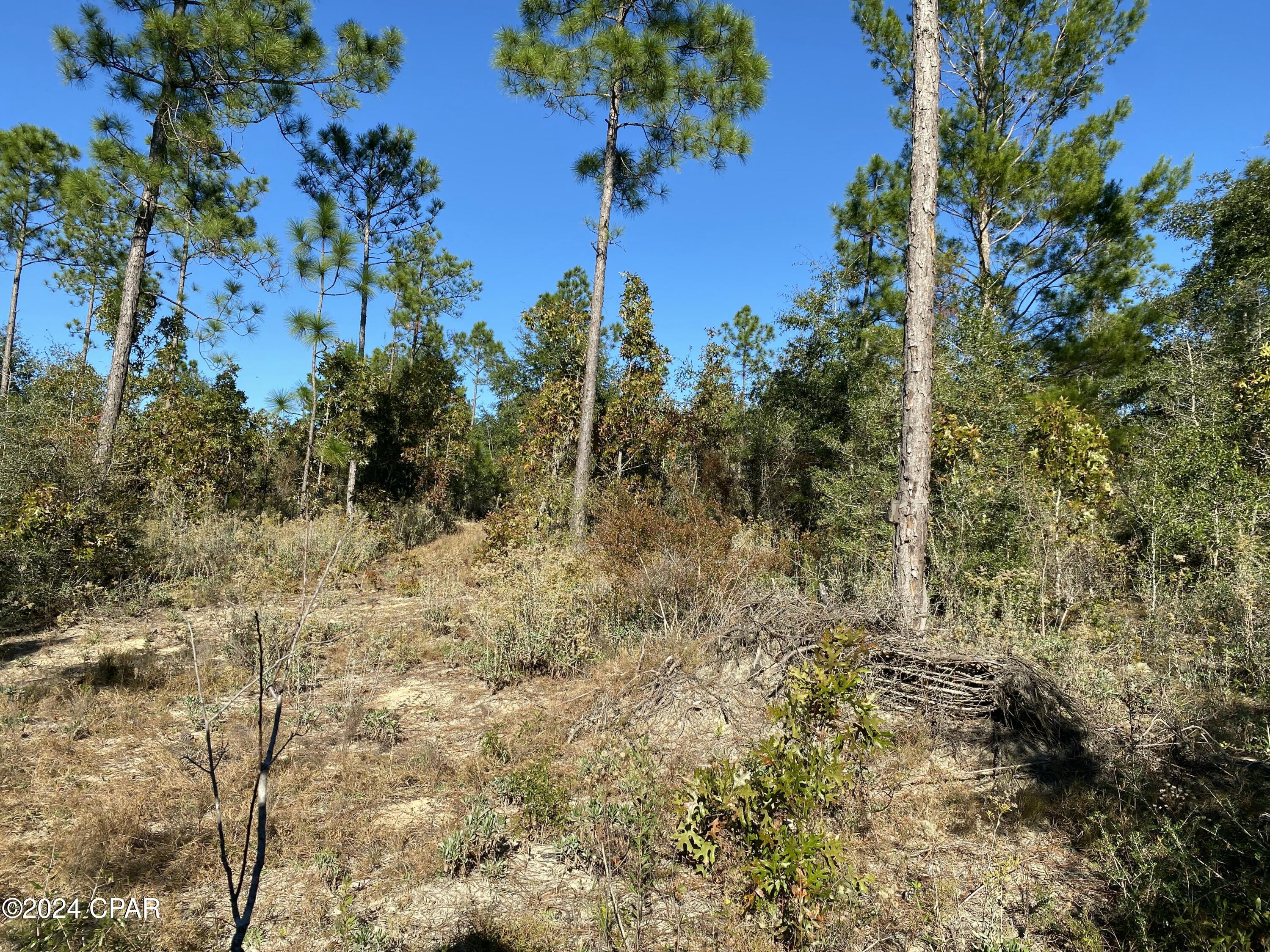 [No Recorded Subdiv] - Land