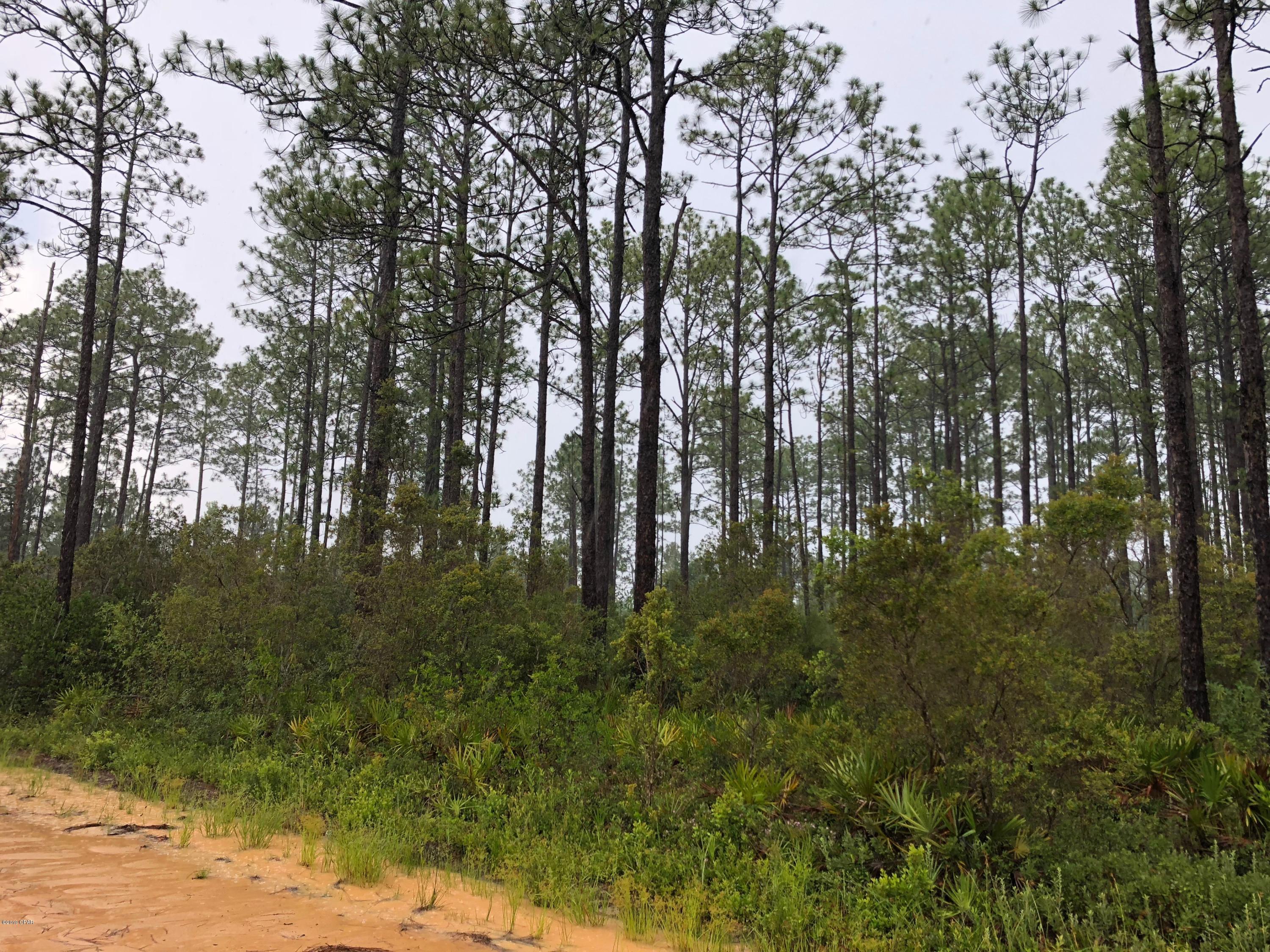 Fountain Replat - Land