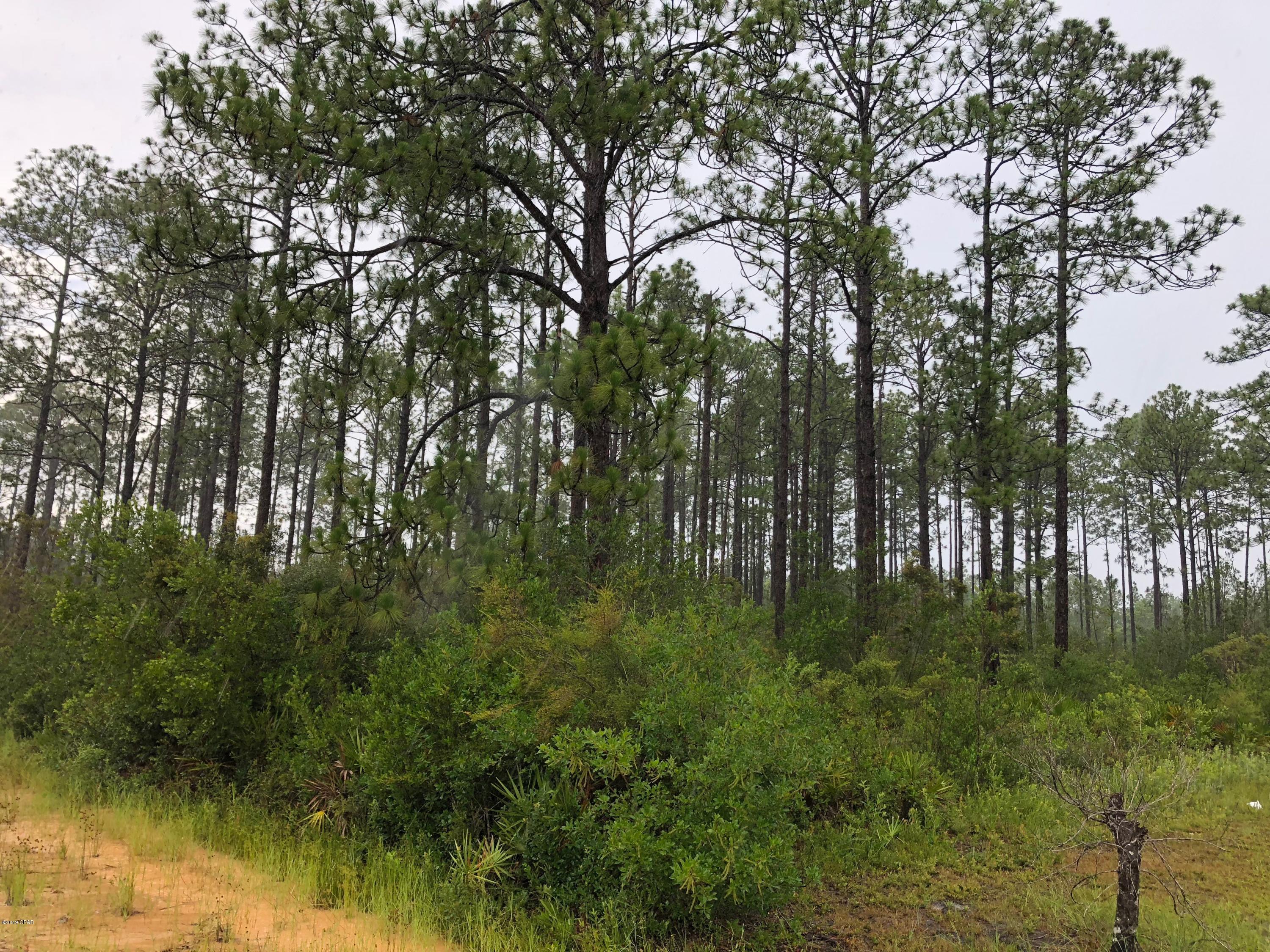 Fountain Replat - Land