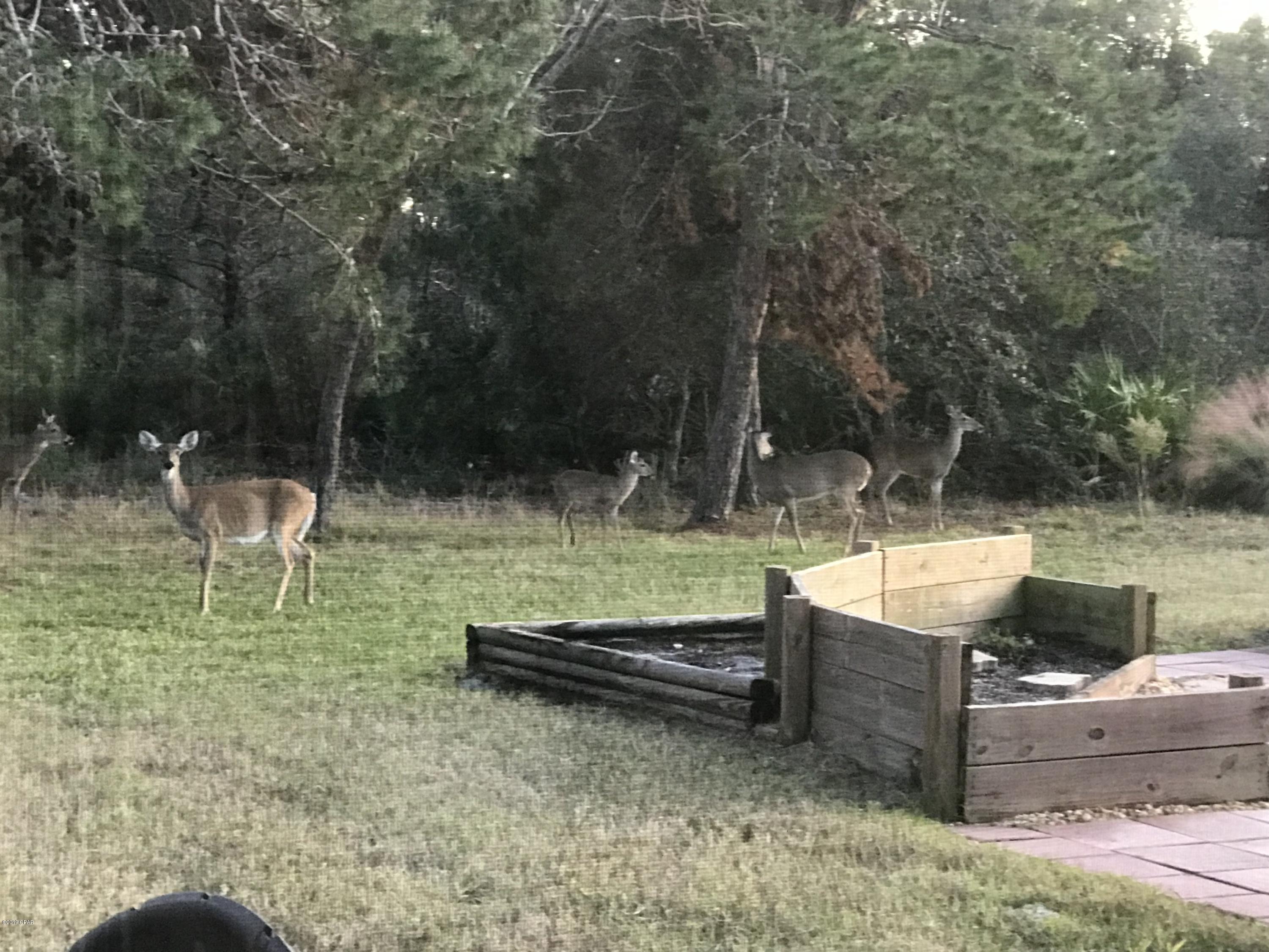 Palmetto Trace - Residential