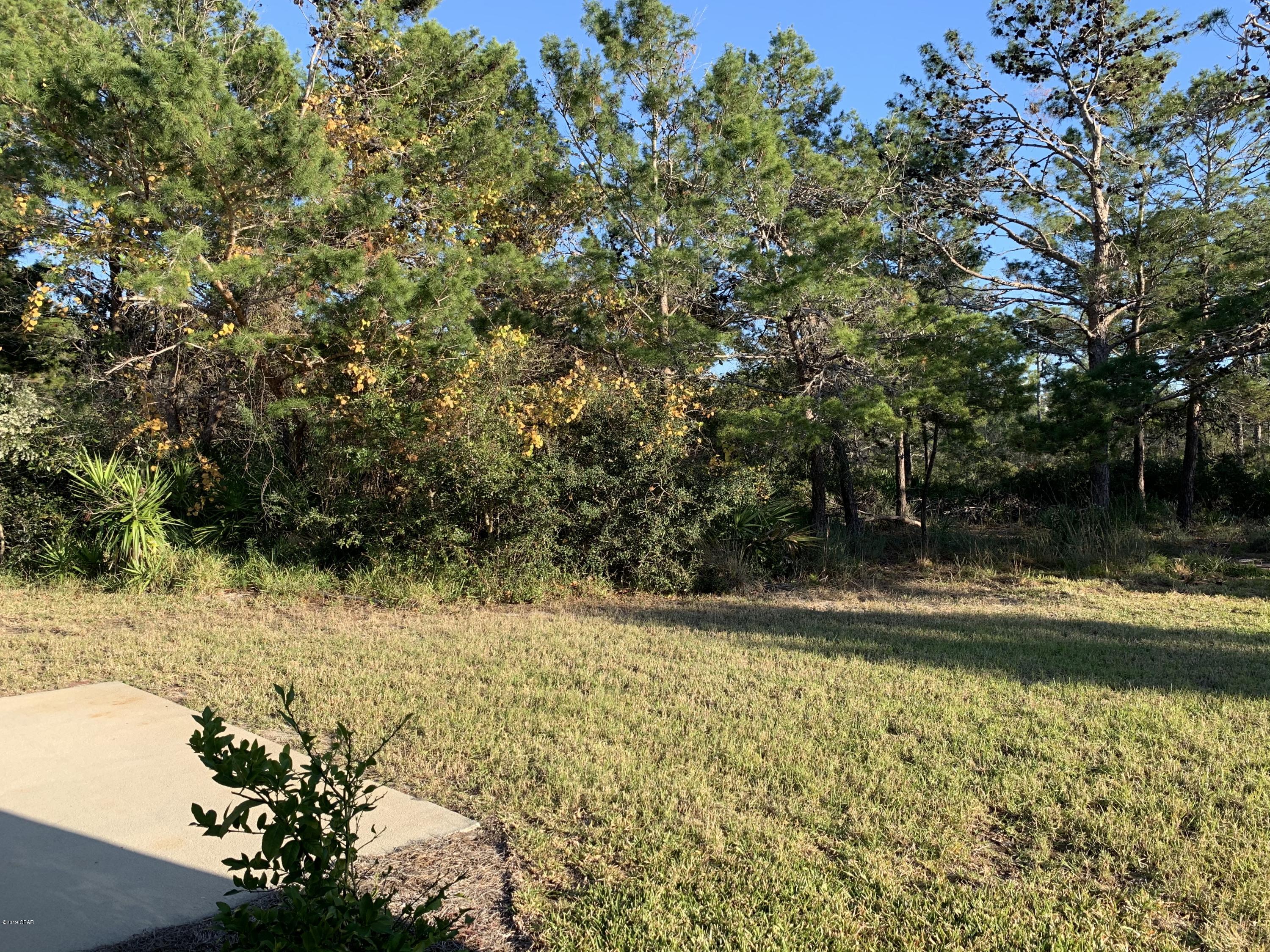 Palmetto Trace - Residential