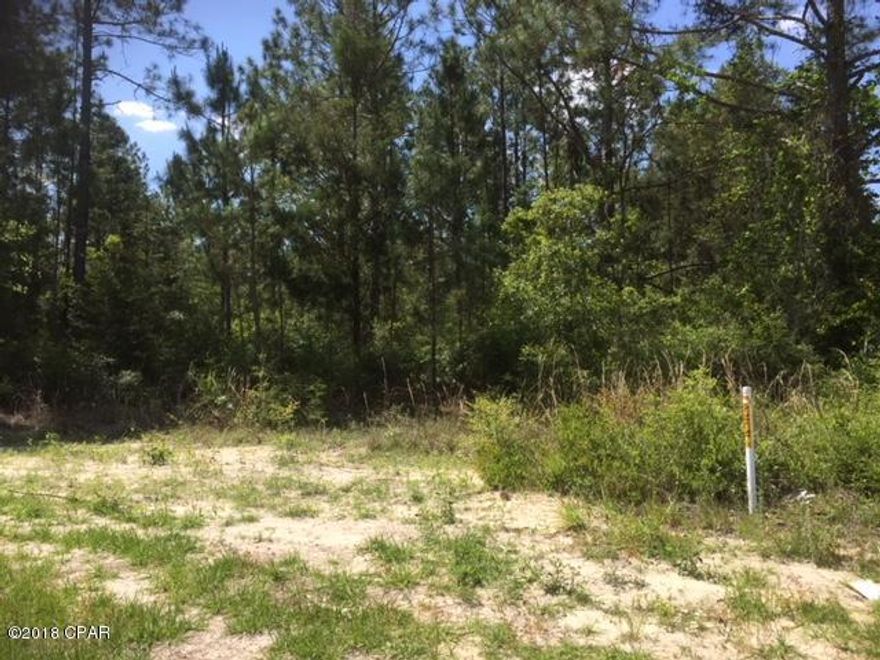 Large corner Lot located on Hwy 22 near Wewahitchka FL. Approximately 3.75 acres, wooded with a barn. Just a short drive to nearest town and 30 minutes to Panama City.