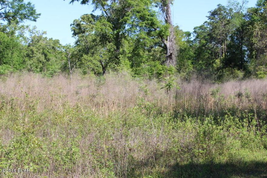 Beautiful four acres in Sneads, FL. This property is very close to boat ramp to the great fishing on Lake Seminole, short drive to Tallahassee.  Build your dream home here!