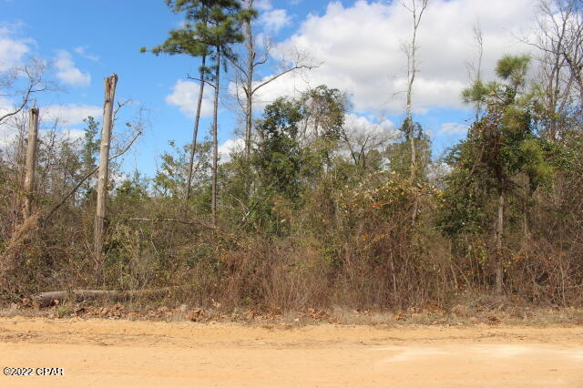 Compass Lake In The Hills - Land