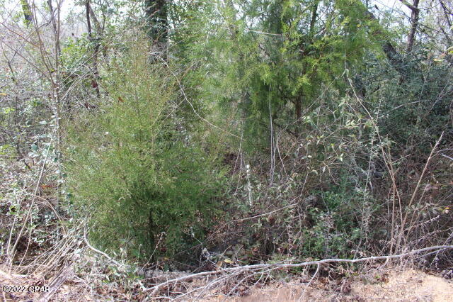 Compass Lake In The Hills - Land