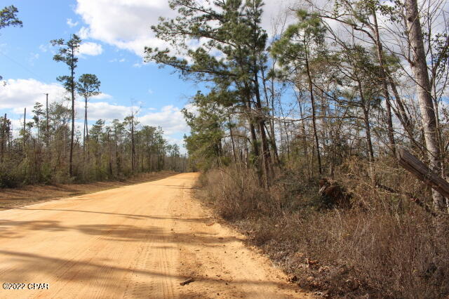 Compass Lake In The Hills - Land