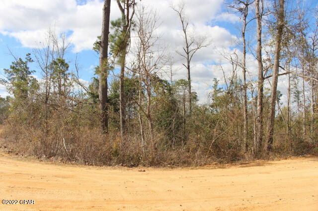 Compass Lake In The Hills - Land