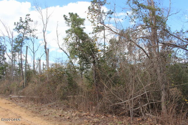 Compass Lake In The Hills - Land