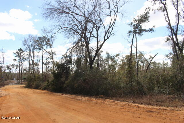 Compass Lake In The Hills - Land