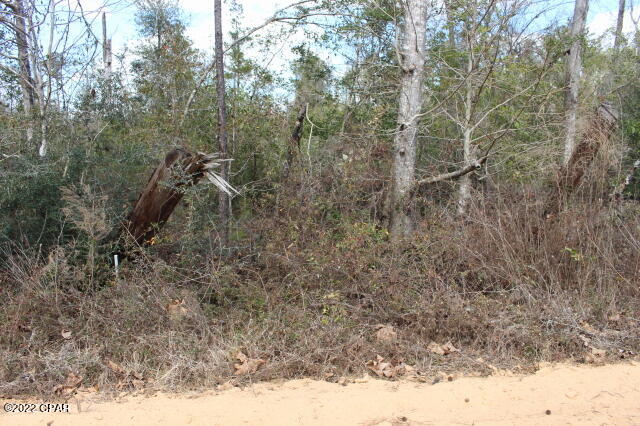 Compass Lake In The Hills - Land