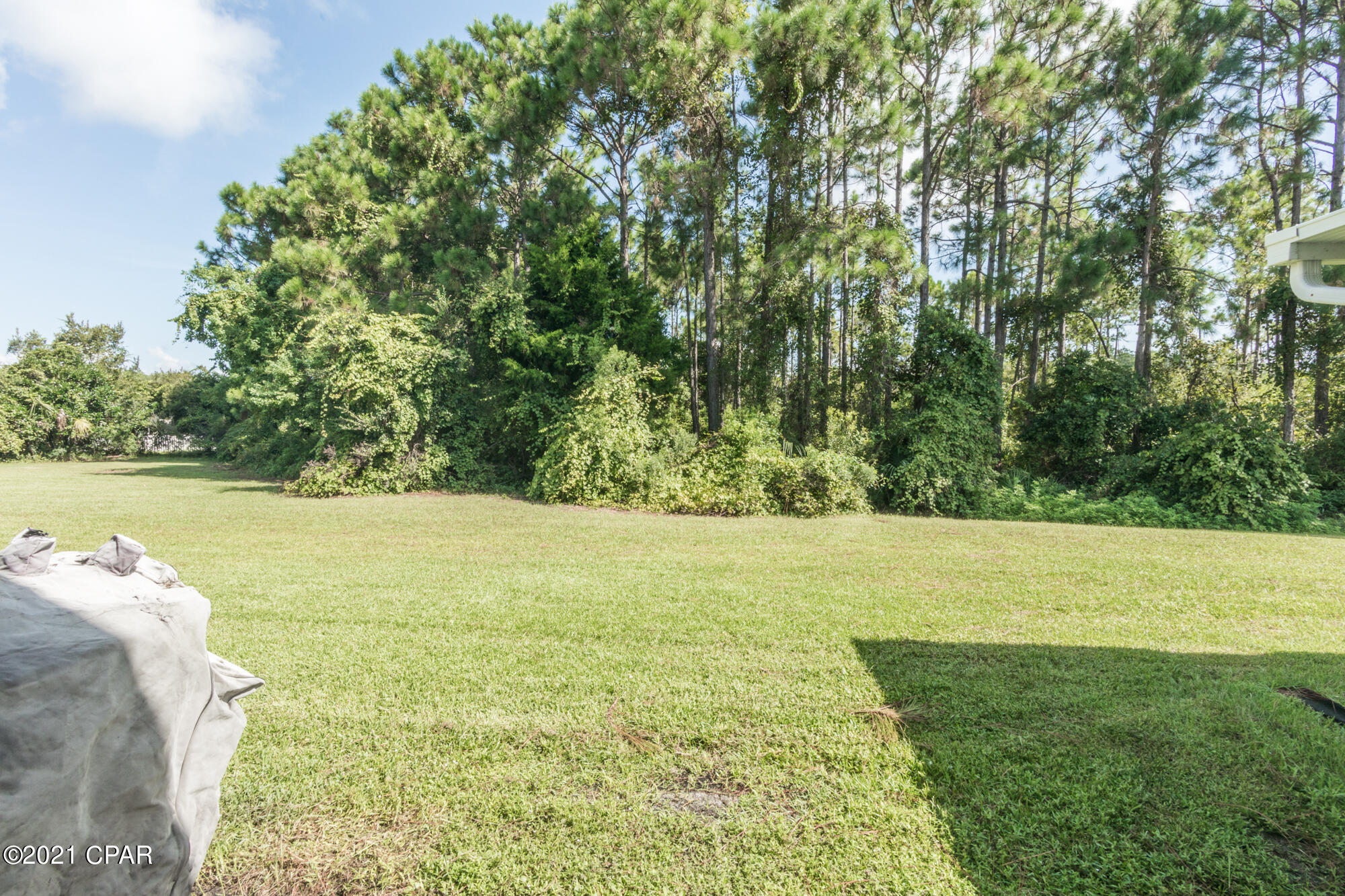 Palmetto Trace Phase 1 - Residential