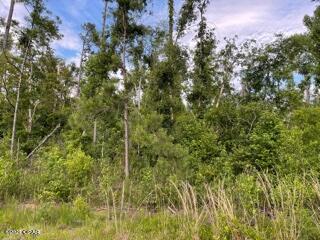 Compass Lake Hills Unit 5 - Land