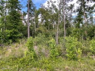Compass Lake Hills Unit 5 - Land