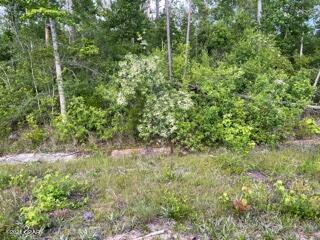 Compass Lake Hills Unit 5 - Land