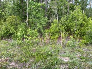 Compass Lake Hills Unit 5 - Land