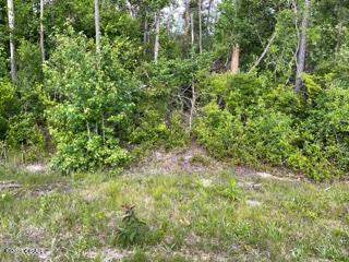 Compass Lake Hills Unit 5 - Land