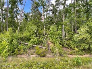Compass Lake Hills Unit 5 - Land