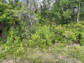 Compass Lake Hills Unit 5 - Land