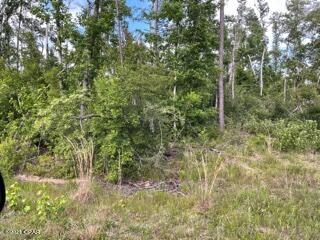 Compass Lake Hills Unit 5 - Land