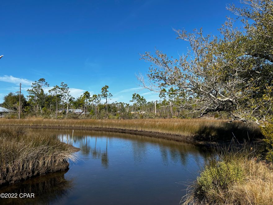 BRING YOUR OFFER! Your dream home awaits. 2.4 acre lot that sits on the stunning Waterway of Richard Bayou. Perfect for the boat and bay lovers. Enjoy sunsets on this nature lovers paradise. Seller has .5 acre lot adjacent to the property that can convey with sale for the right offer. Makes a almost 3 acre waterfront lot under 180k. WOW! See the documents sections for surveys, wetland study, and dredge report. Ready to start planning your oasis.