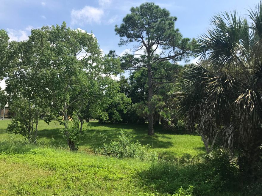 This beach area property consists of a very large lot , which can be split into 2 building lots. Only 3 winding blocks away from the Gulf, beach access at Twin Lakes and Front Beach Road.