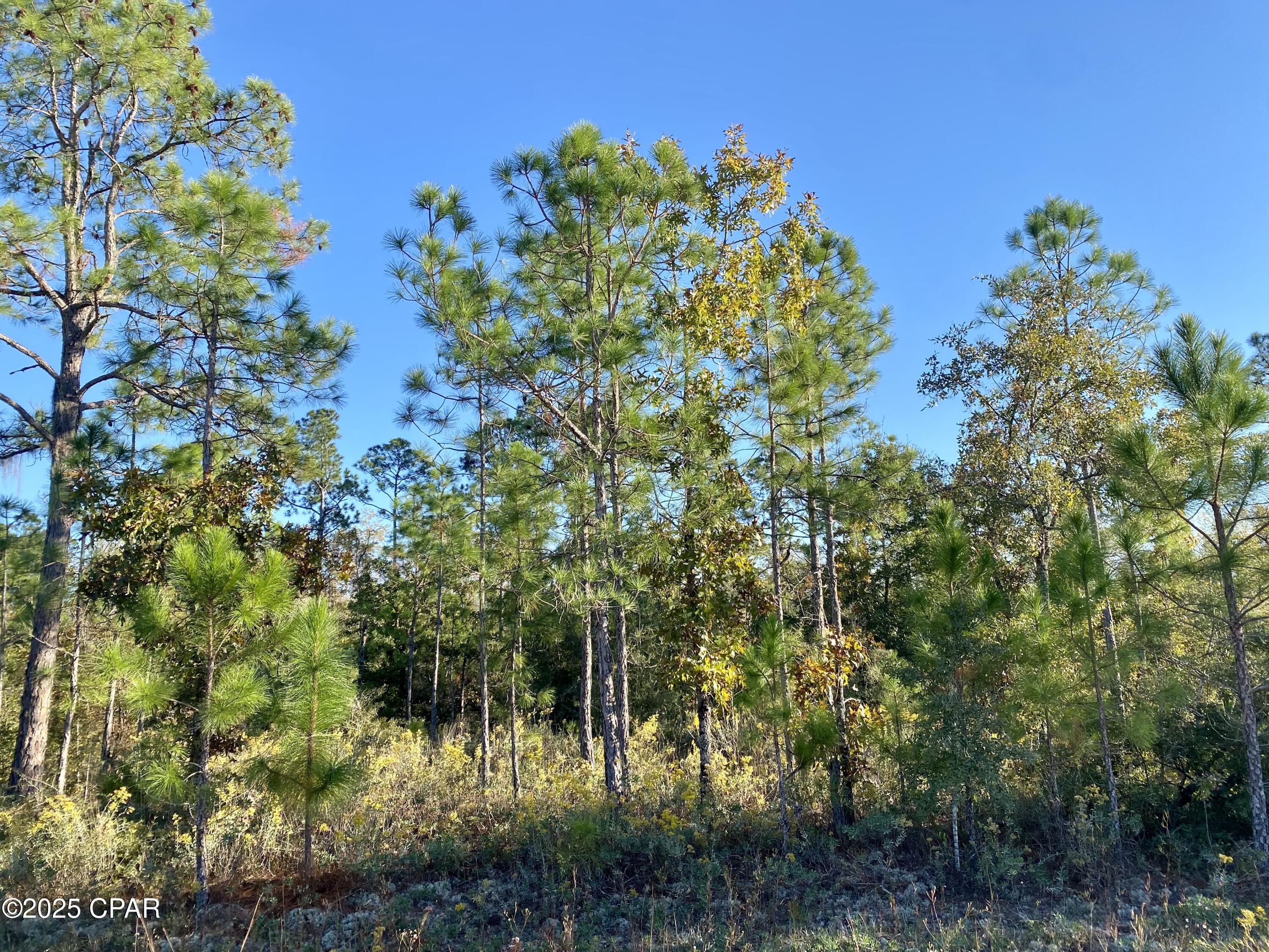 Compass Lake Hills Unit 4 - Land