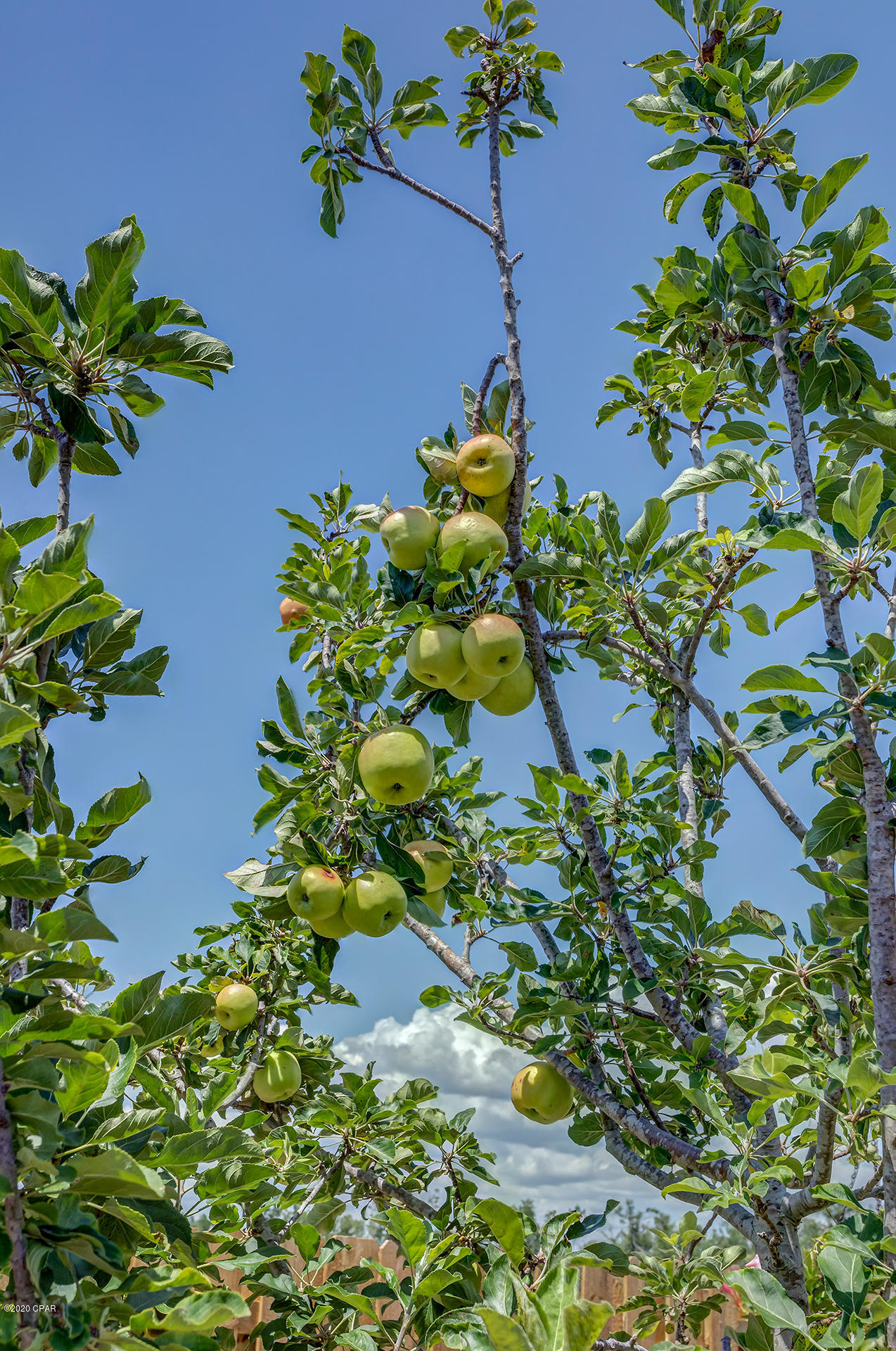 Village Of Mill Bayou/Shoreline Village Ph 1A - Residential
