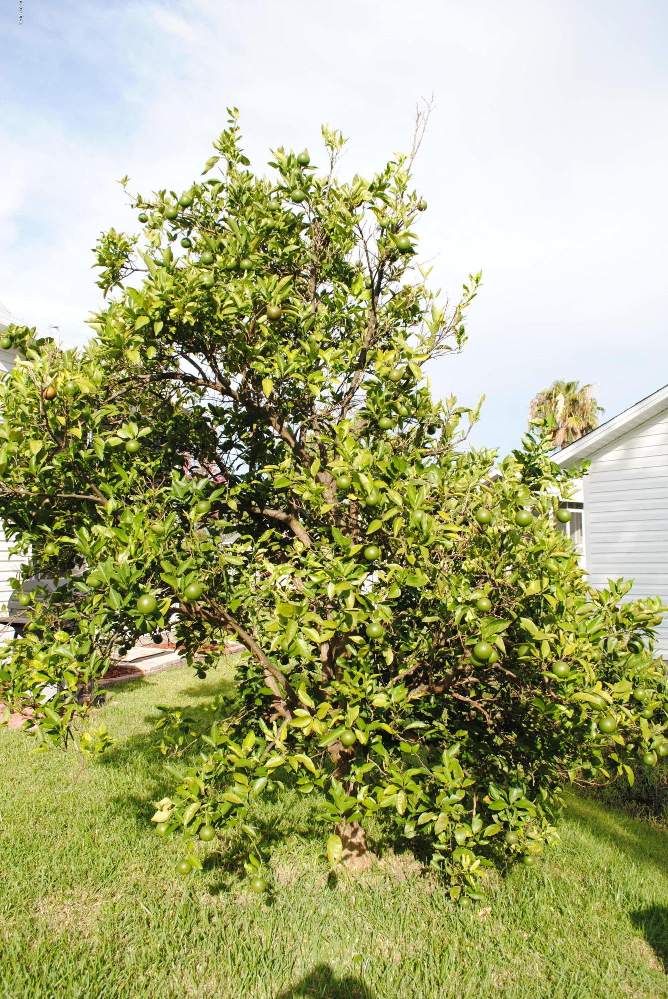 Emerald Pointe Resort - Residential