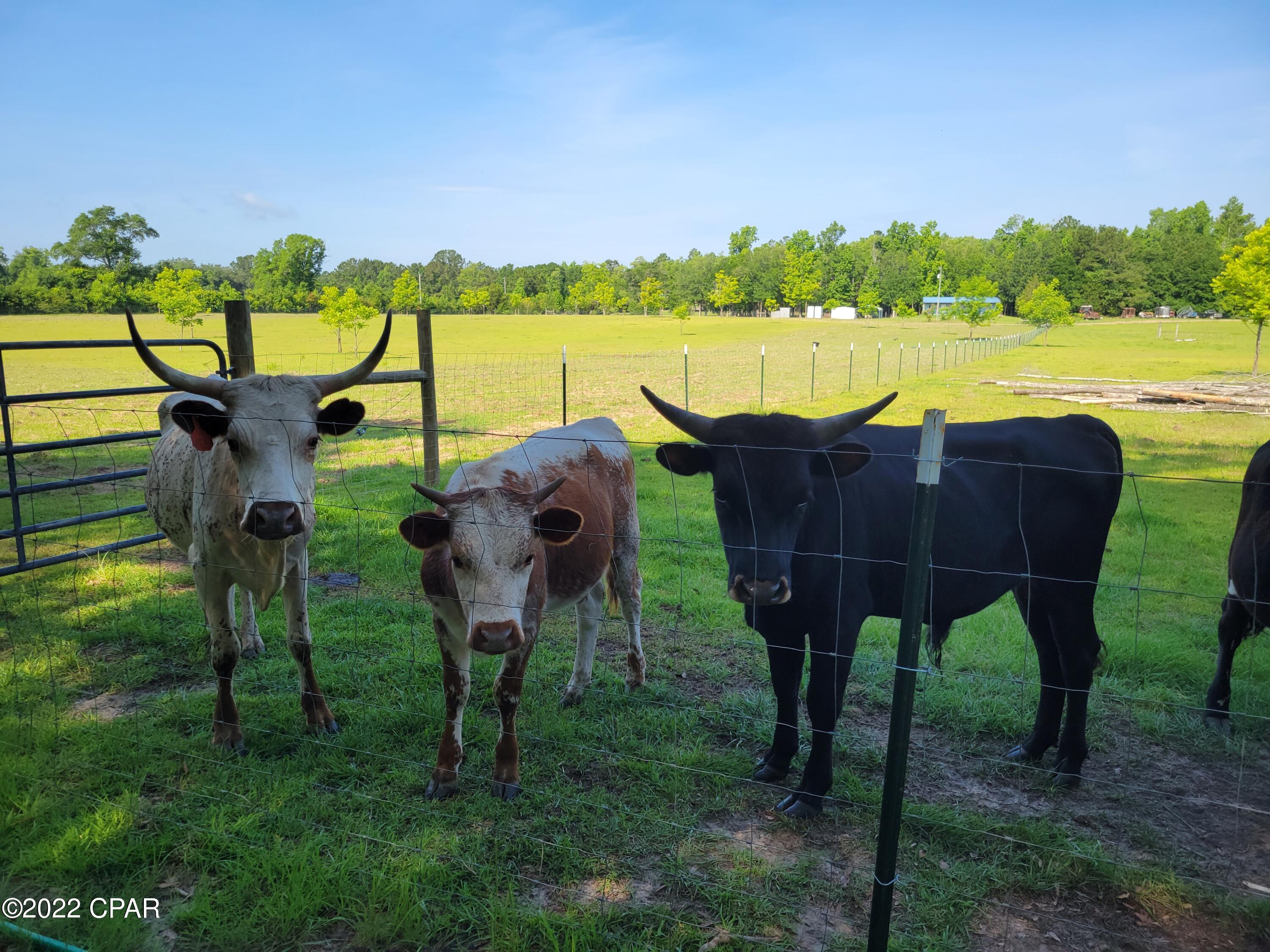 [No Recorded Subdiv] - Residential