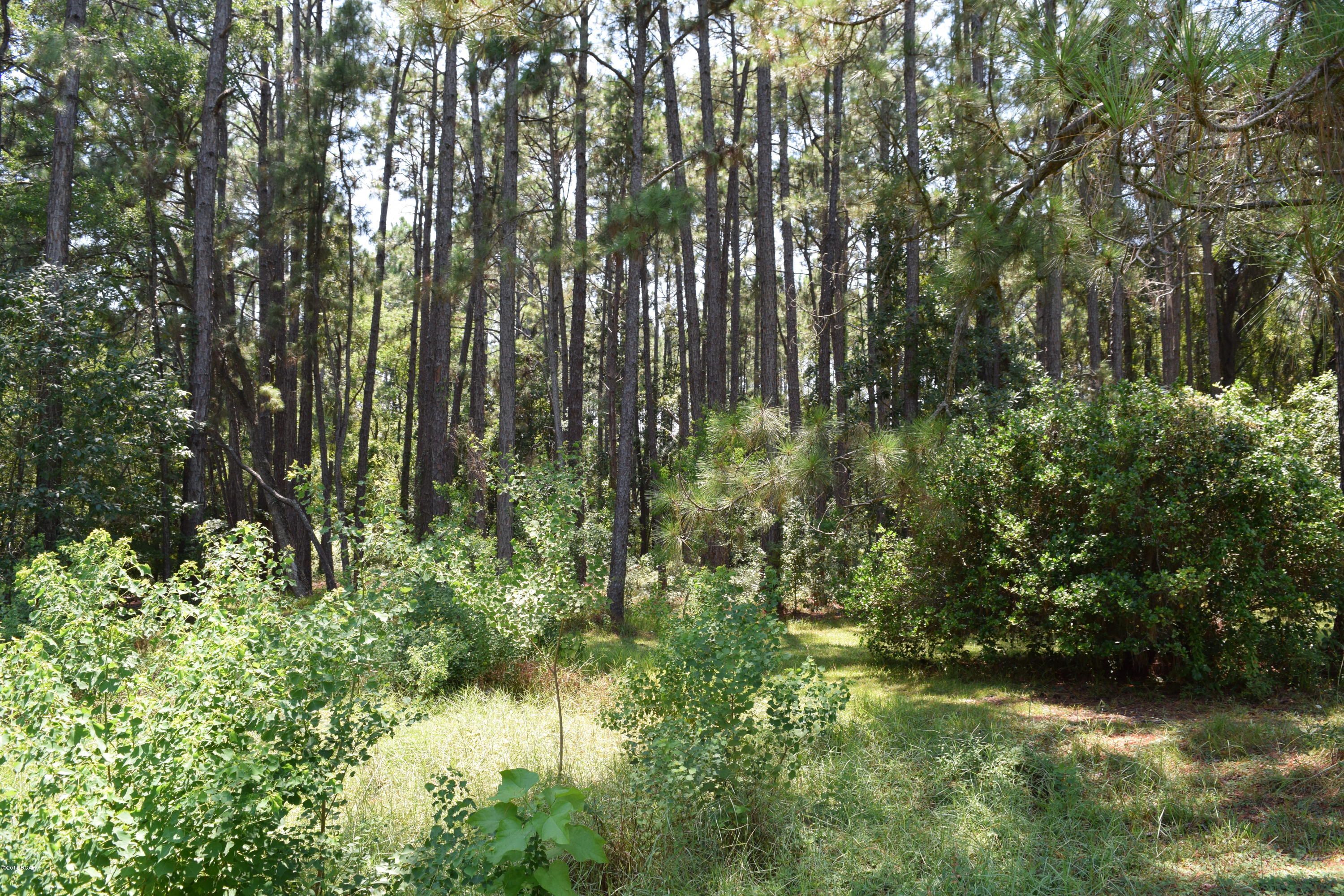 East Bay Park - Residential