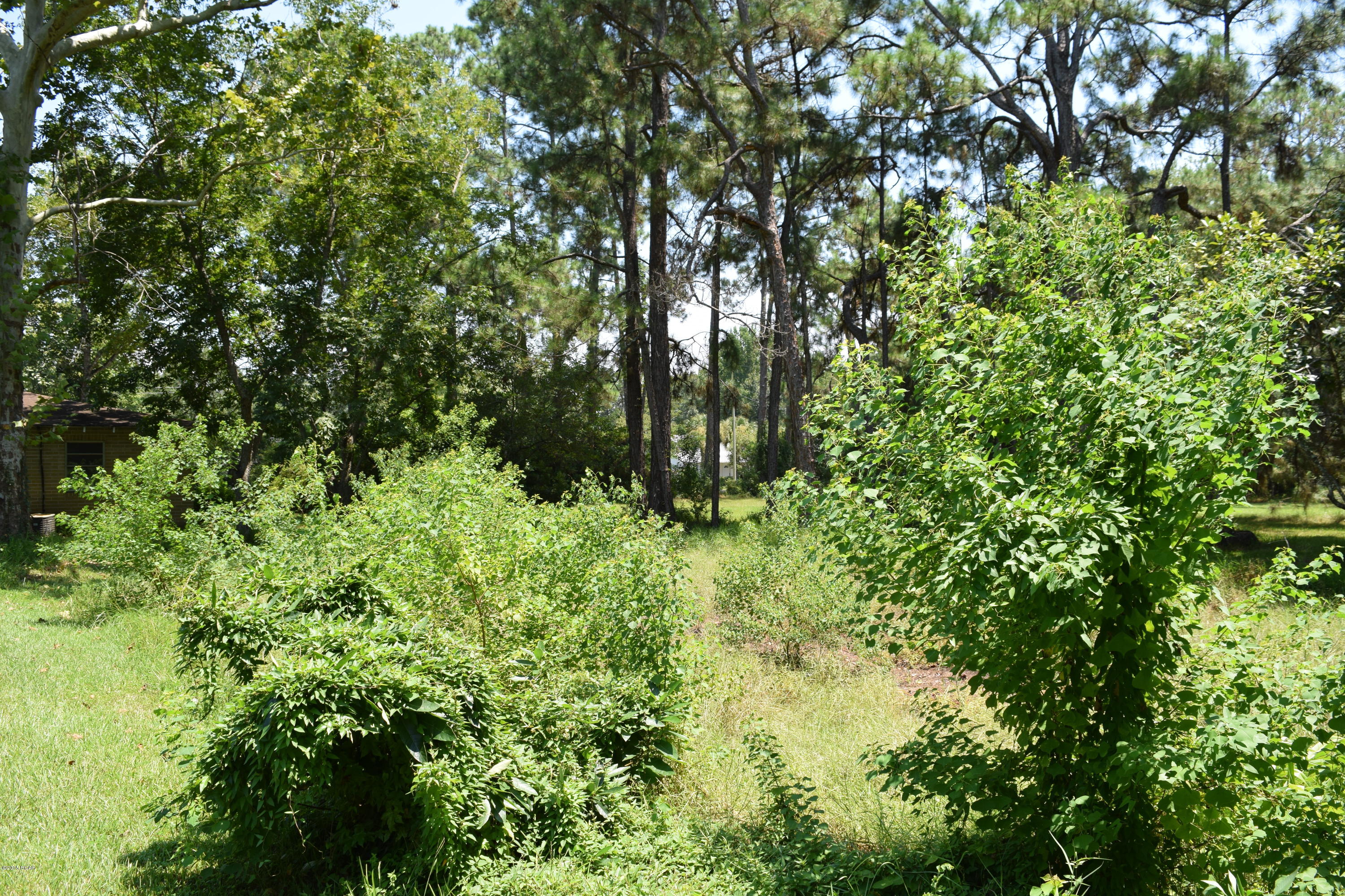 East Bay Park - Residential