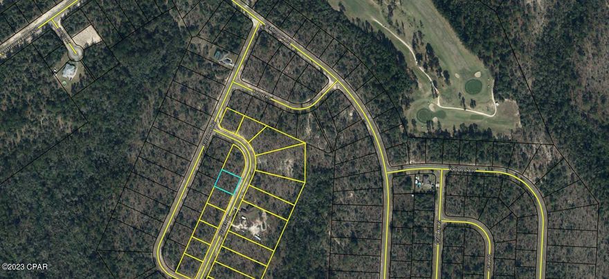 Nice building lot in Sunny Hills. This .31 acre +/- lot is mostly wooded. Deed restricted for site built homes only. Not far from the golf course and the several fishing lakes in the area. Approx. 45 minutes from Panama City Beach and 20 minutes from Chipley.