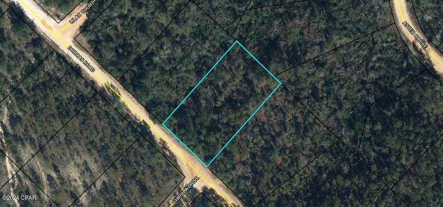 Nearly 1 Acre wooded lot close to Compass Lake in Marianna FL.  Lot 34 Blk 50 . A beautiful country setting, and an abundance of wildlife. Go see today!
 County Maintained Road