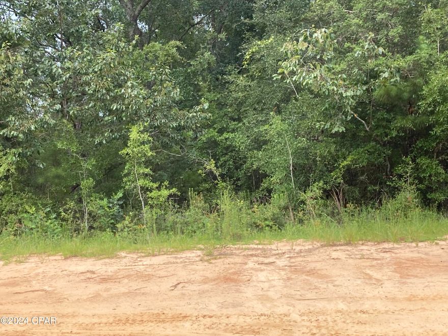 Nearly 1 Acre wooded lot close to Compass Lake in Marianna FL.  Lot 34 Blk 50 . A beautiful country setting, and an abundance of wildlife. Go see today!
 County Maintained Road