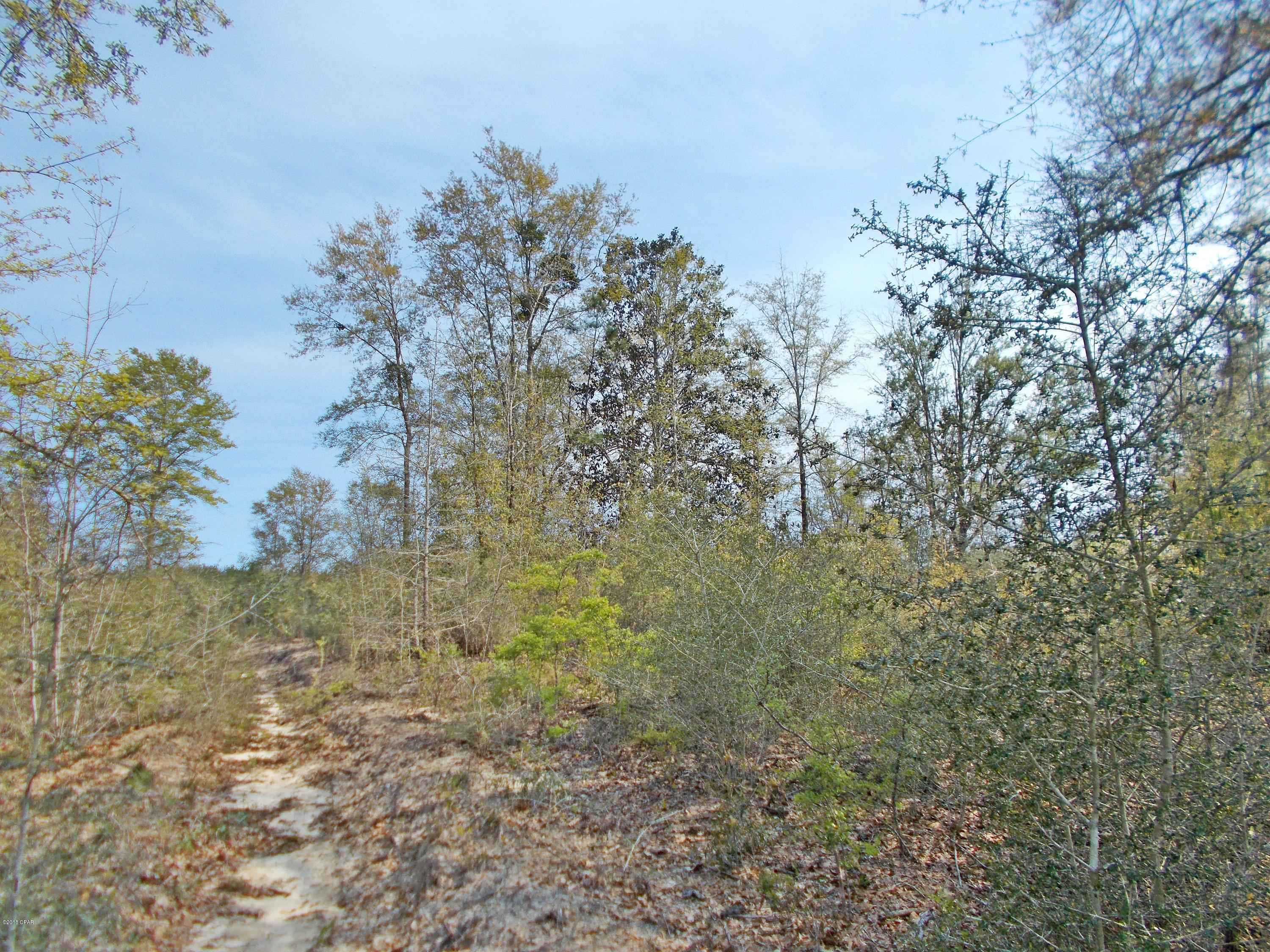 No Named Subdivision - Land