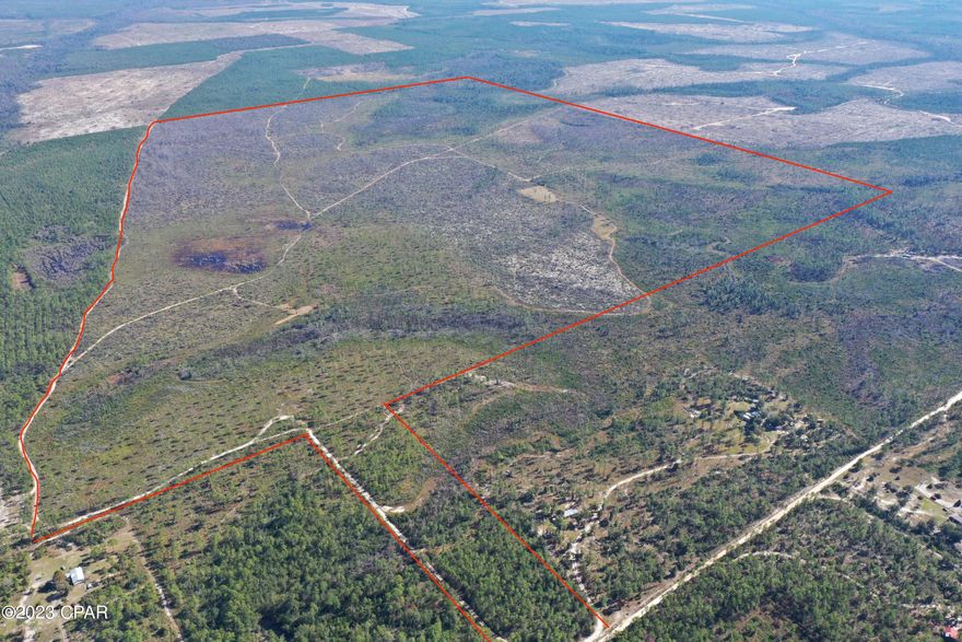560 ACRES! Great hunting, timber, and recreational property, 30 minutes from Panama City, FL. The property is very diverse with both upland ridges and lowlands, containing an extensive road systems with lots of game animals, food plots, feeders and hunting stands. This property is surrounded by large acreage tracts owned by Timber companies and Deseret Cattle and Timber. Approximately 100 acres have been replanted with 40,000 long leaf pine tree seedlings.