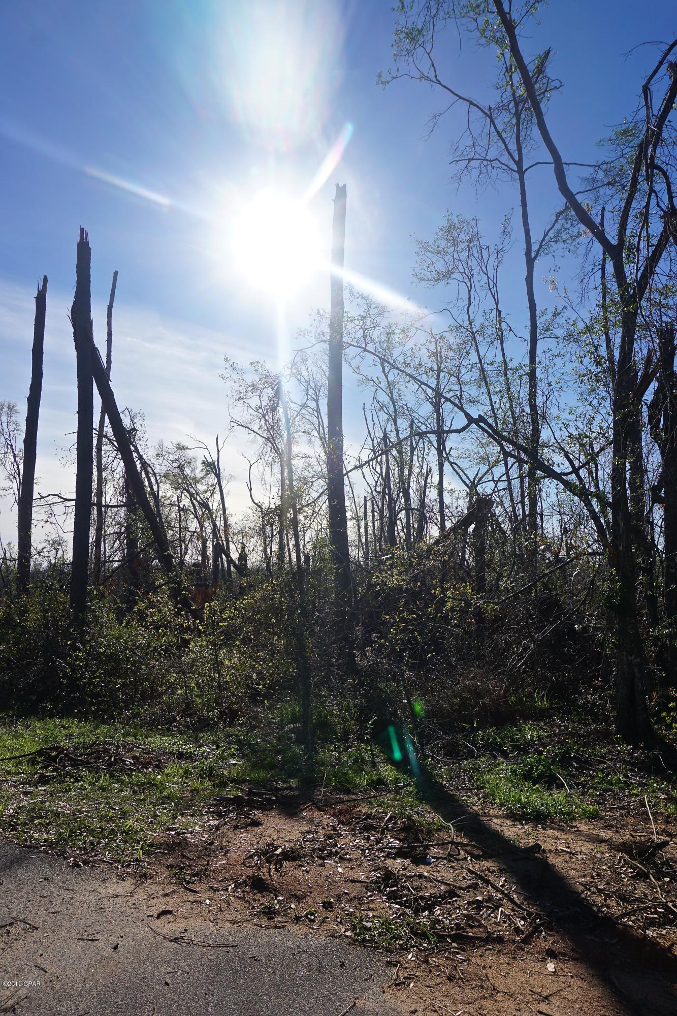 Indian Springs - Land