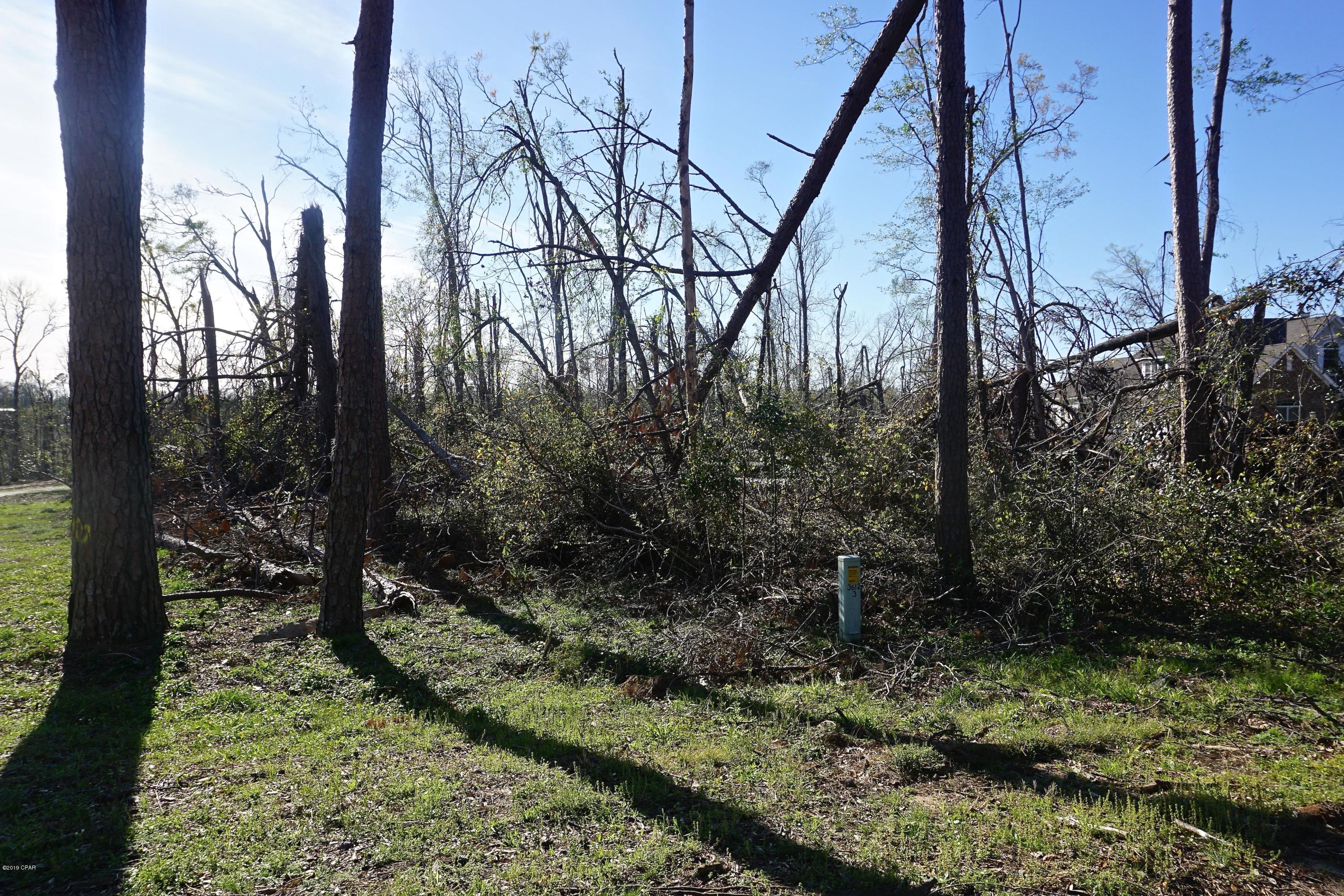 Indian Springs - Land