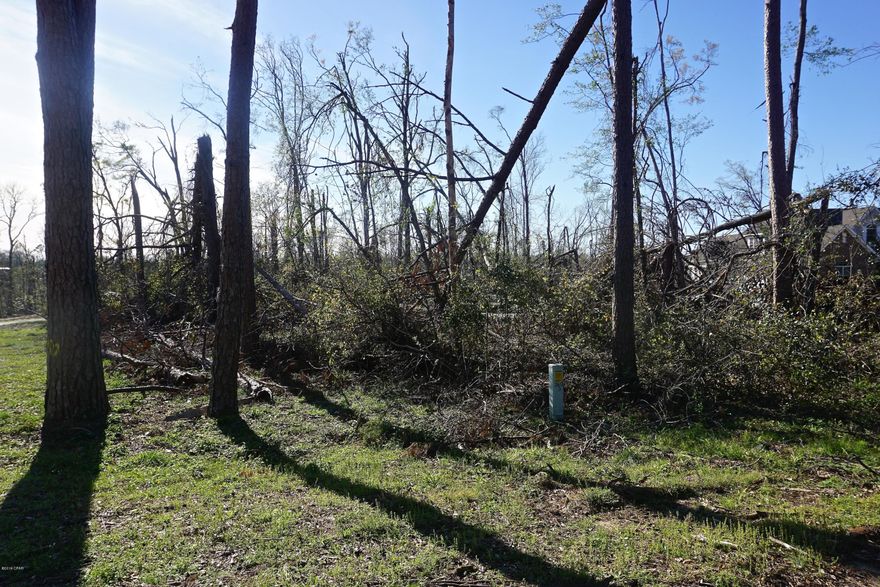 WATERFRONT residential 2-acre lot (to thread of the stream) on beautiful crystal clear Merrits Mill Pond. Lot is wooded and is level to the bluff; then lot gently slopes to water. 165' on the water!!! This is one of the last waterfront lots available in Indian Springs Subdivision. Deed restrictions apply including set back restrictions of 150 ft from the road, 100 ft from water, & 10 ft from lot sides, home must be a minimum of 1,500